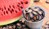 Jangan Dibuang, Biji-bijian Buah Ini Punya Manfaat Bagi Kesehatan