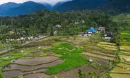Desa Wisata Sungai Batang, Sumatera Barat, Tawaran Pesonanya, Yakin Tidak Tergoda?