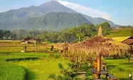Nikmati Sensasi Healing dengan Alam di Wisata Pondok Sawah Trawas Mojokerto: Viewnya Bikin Takjub
