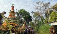 Karnaval Kirab Budaya Sedekah Bumi di Desa Kluwih Bandar Batang, Gotong Royong Nguri-uri Tradisi