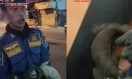Biawak Masuk Lemari Baju Warga Cilendek Barat, Damkar Gercep Ambil Tindakan