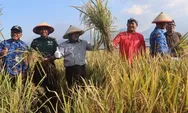 Petani di Kabupaten Semarang Diharapkan Menggunakan Pupuk Organik