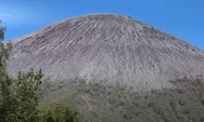 Gunung Tertinggi di Jawa Timur, Keagungan Alam Tegak Berdiri Menembus Awan, Sudahkan Mendaki di Sini?