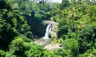 CATAT untuk Tempat HEALING! Air Terjun Holiday, Permata Tersembunyi di Hutan Way Kanan, Lampung