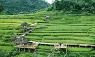 Kandidat Desa Wisata Terbaik Kemenparekraf, Intip Yuk Pesona Terasering Cisalada Bogor 'Bak Desa di Bali'