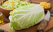 Kamu Pasti Belum Tahu, Sawi Putih Bisa Cegah Penyakit Mematikan Ini!