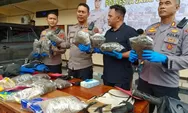 Jayapura Jadi Target Pasar Ganja