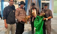 Polsek KPL Jayapura Gagalkan Penyeludupan Burung Cenderawasih