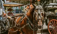 Fakta Mengejutkan Wisata Jawa Timur