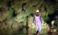 Tim BPBD dan Damkar Kendal Tangani Belasan Pohon Tumbang, Akses Jalan Sempat Terganggu