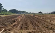 Lapas Kendal Kembangkan Kebun Hortikultura, Warga Binaan Belajar Bertani Lewat Program SAE