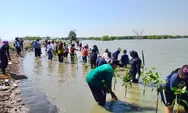 Hari Mangrove Sedunia, Ratusan Pelajar Turun ke Pantai Kartikajaya Tanam 1.000 Bibit