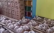 Gerakan Pangan Murah Digelar di Brangsong, Pemkab Kendal Tekan Harga Sembako untuk Jaga Daya Beli Warga