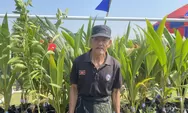 Bibit Kelapa di Tangan Ngadiman, Harapan Sederhana untuk Tunggulsari yang Lebih Hijau
