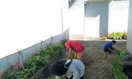 Keterampilan Bertani Diasah, Warga Binaan Lapas Kendal Petik Hasil Panen Kangkung