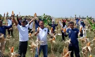 Panen Jagung 8 Ton Jadi Bukti Pembinaan Keterampilan Warga Binaan Berjalan Produktif