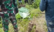 Bocah Perempuan yang Diculik Tetangga di Bolmong Sulut, Ditemukan Tak Bernyawa di Perkebunan Pusian