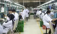 Lowongan Magang di PT INTI Masih Tersedia, Fresh Graduate Bisa Ikut Melamar, Ini Link Pendaftarannya