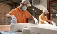 PT Sun Paper Source Membuka Loker Terbaru, Posisi yang Tersedia Adalah Sebagai Foreman Produksi, Yuk Simak di Sini!