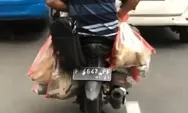 Video Viral Pemotor Bawa Karung Berisi Banyak Kucing di Bogor, Ternyata Begini Endingnya
