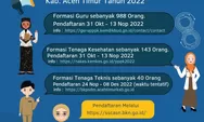 Link Lowongan ASN PPPK Seluruh Kabupaten di Aceh