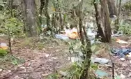 Video Viral Gunung Gede Pangrango Penuh Sampah, Ridwan Kamil Sampai Dicolek Netizen