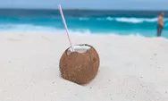 Inilah 6 Manfaat Air Kelapa untuk Kesehatan yang Perlu Kamu Ketahui
