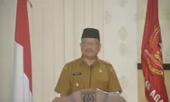 Ngaku Tak Akur dengan Bupati, Wabup Agam Mengundurkan Diri