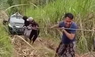 Video Viral, Mobil Google Maps Nyasar Sampai ke Ladang Hingga Ditarik Warga