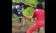 Tiga Pria yang Lempar Anjing ke Buaya di Nunukan Kaltara Jadi Tersangka, Ini Jerat Pasalnya