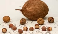 Beragam Manfaat Air Kelapa Tua untuk Kesehatan: Kelezatan dan Keberlimpahan Nutrisi