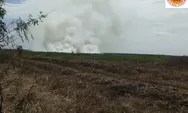 Kebakaran Hutan Mulai Melanda Kalimantan Selatan