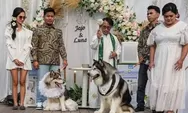 Pernikahan Mewah Anjing Milik Tim Stafsus Presiden Hina Budaya Jawa, Pemilik Minta Maaf