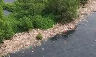 Viral Tumpukan Sampah di Pesisir Muara Angke, Begini Respons Pemprov DKI