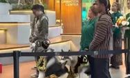 Video Pernikahan Anjing Jojo dan Luna di PIK Jakut Pakai Adat Jawa, Habiskan Rp200 Juta