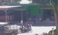 Video detik-detik Peristiwa Kawin Tangkap di Sumba Barat Daya NTT, Viral di Medsos