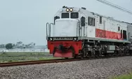 Kenali Macam-Macam Moda Transportasi Kereta Api yang Ada di Indonesia
