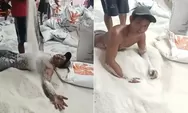 Viral Pria Mandi Beras, Bulog Langsung Pecat Buruh dan Mutasi Kepala Gudang