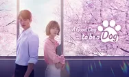 Sinopsis A Good Day To Be A Dog Episode 7, Rahasia Hae Na Mulai Tersebar di Internet