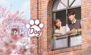 Sinopsis A Good Day To Be A Dog Episode 11, Bo Gyeom Menghilangkan Rasa Sayang Seo Won pada Hae Na