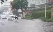 Jakarta Hujan Deras, Sejumlah Ruas Jalan Langsung Tergenang Hingga 40 Cm