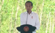 Kantor LPS di IKN Mulai Dibangun, Jokowi Harap Tingkatkan Kepercayaan Masyarakat hingga Investor