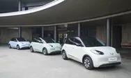 Pasar Mobil Listrik Indonesia Ketat, Wuling Air ev dan Hyundai Ioniq 5 Bukan Lagi Penguasa
