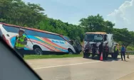 Kecelakaan Maut Bus Rosalia Indah di Tol Batang-Semarang, Begini Pengakuan Sopir