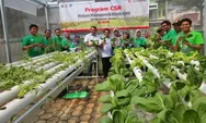 Lanjutkan Program TJSL, Bank DKI Resmikan Kebun Hidroponik di RPTRA Cibubur
