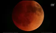Siap-siap, 12 April Nanti Bakal Muncul Pink Moon