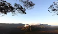 Cegah Kebakaran Gunung Bromo Terulang, Ini yang Dilakukan BB TNBTS 