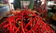 Cabai Merah Picu DIY Alami Inflasi Bulanan 0,46 persen