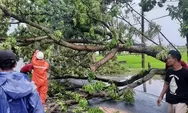 Hujan Deras Disertai Angin Kencang Terjang Temanggung, Sejumlah Fasilitas Rusak