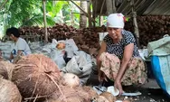 Mengenal Coconut Charcoal - Solusi Ramah Lingkungan untuk Kebutuhan Energi dan Industri